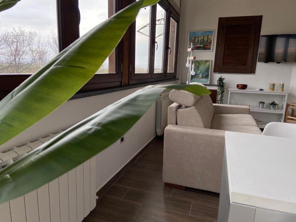Villa Rosella Appartamento 2 - Con Piscina - 150 M Dal Mare Casa Margherita Exteriér fotografie